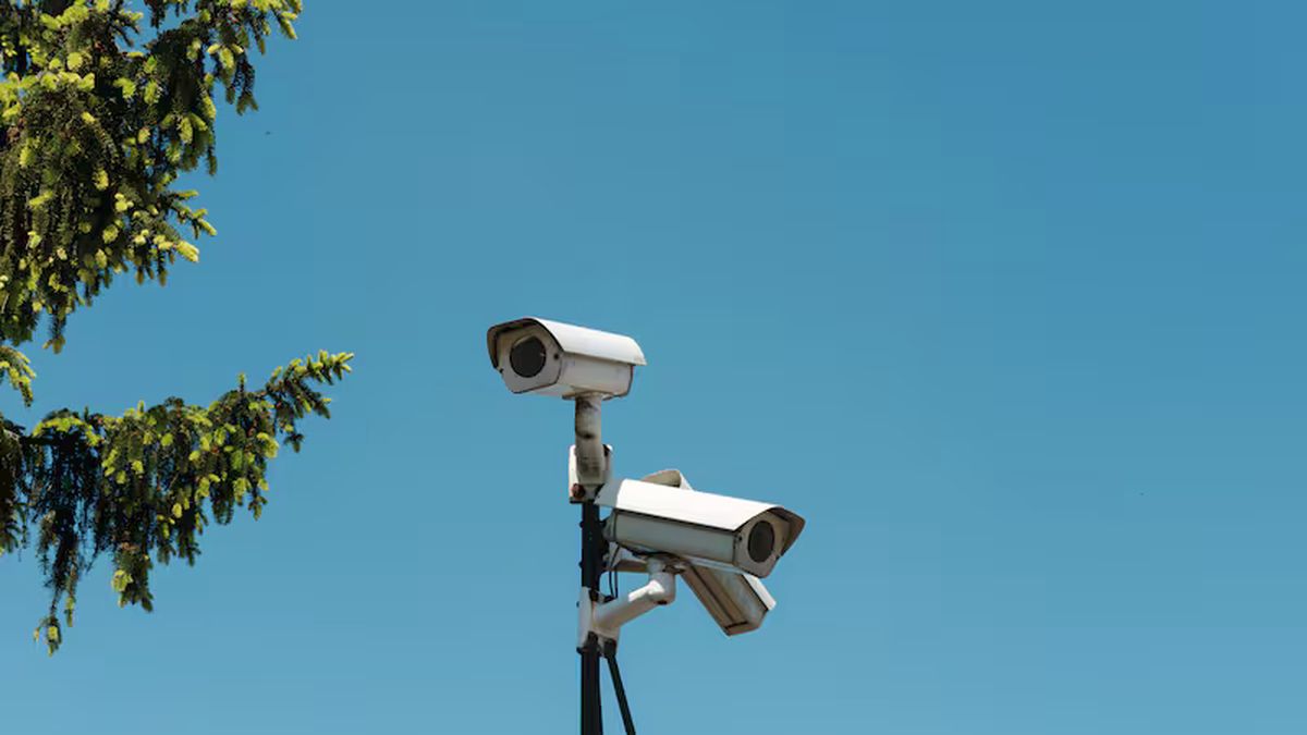 Dos cámaras de seguridad blancas montadas en un poste contra un cielo azul, junto a las ramas de un pino