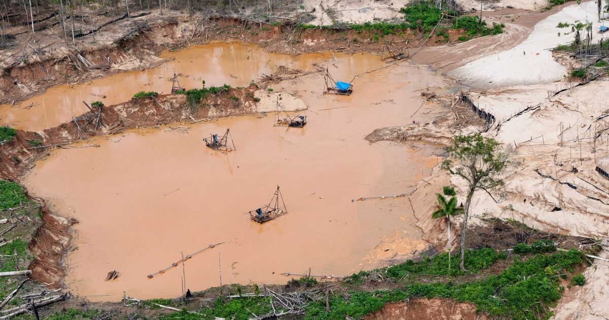 Vista aérea de dragas de minería ilegal en una laguna de agua marrón rodeada de selva talada, junto al río Malinowski, en la Reserva Nacional Tambopata, Perú