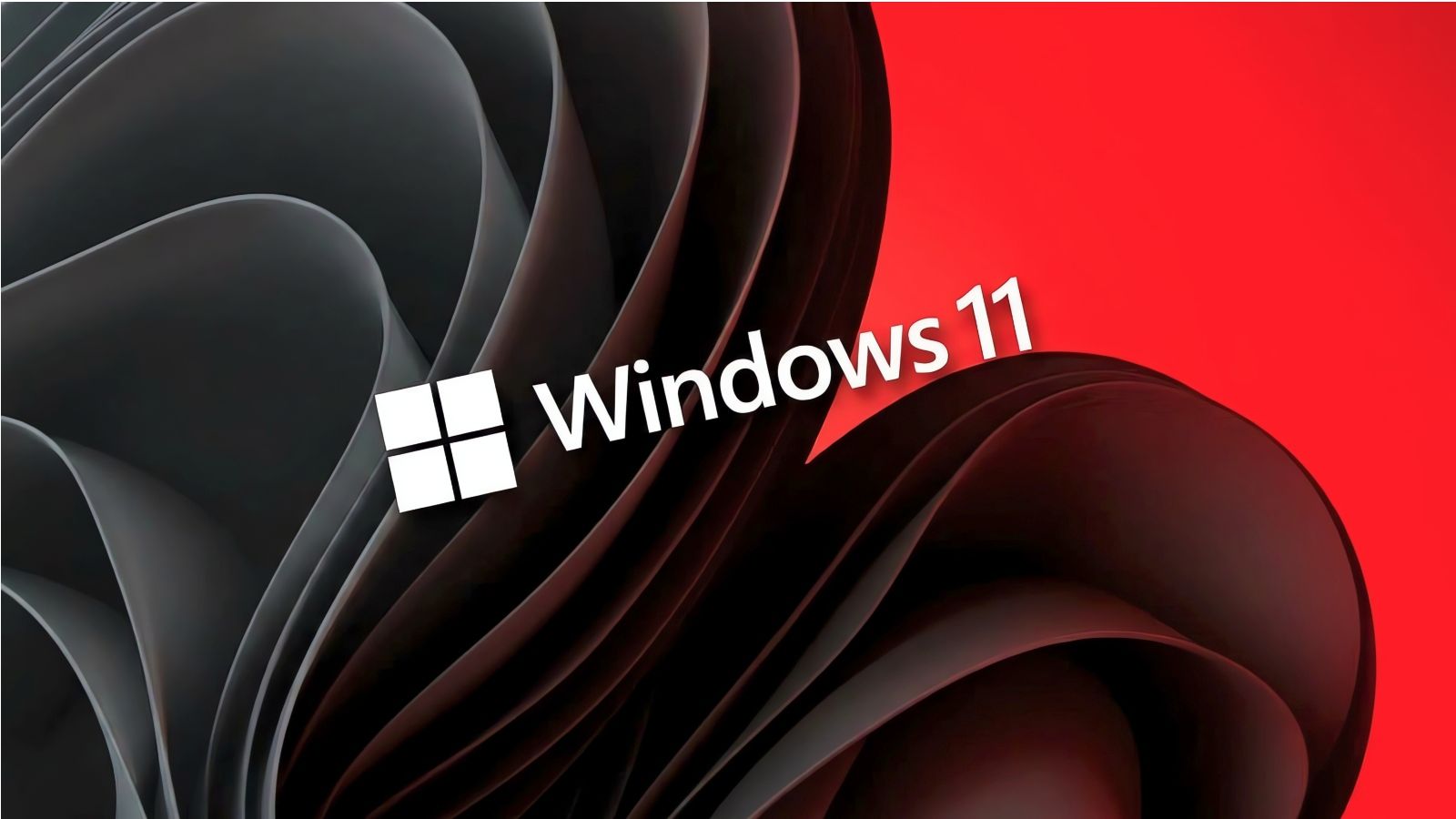 Logo de Windows 11 en blanco sobre un fondo de formas onduladas negras y rojas